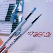 YML-9306秒干ST针管头替芯 10支袋装