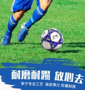 李宁足球儿童小学生专用球5号4号成人专业初中生中考训练足球