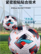 李宁足球5号成人儿童青少年中小学生户外比赛训练中考标准用球