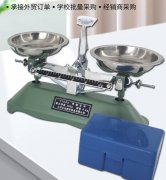 托盘天平架盘药物天平带砝码中小学物理实验机械